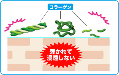 コラーゲン浸透