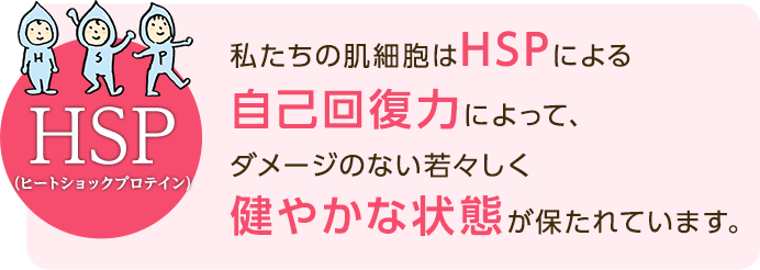 HSP(ヒートショックプロテイン)