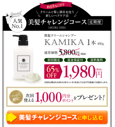 KAMIKA オファー